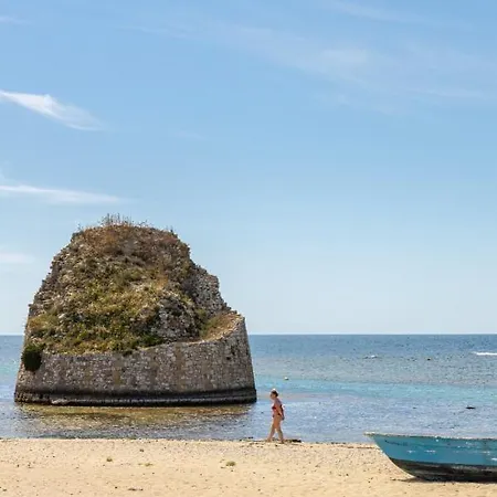 Andrew's - Playita Torre Pali