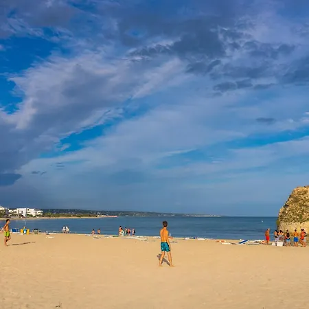 Andrew's - Playita Torre Pali
