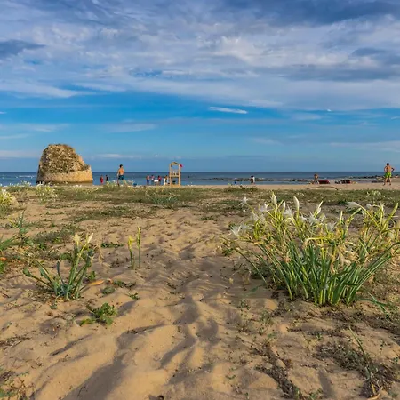 Holiday home Andrew's - Playita Torre Pali