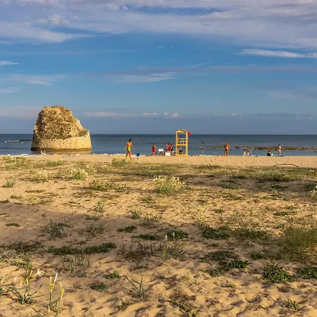 Andrew's - Playita Holiday home Torre Pali