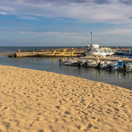Andrew's - Playita Torre Pali